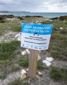 Imagen secundaria 2 - Paseo por una senda abandonada