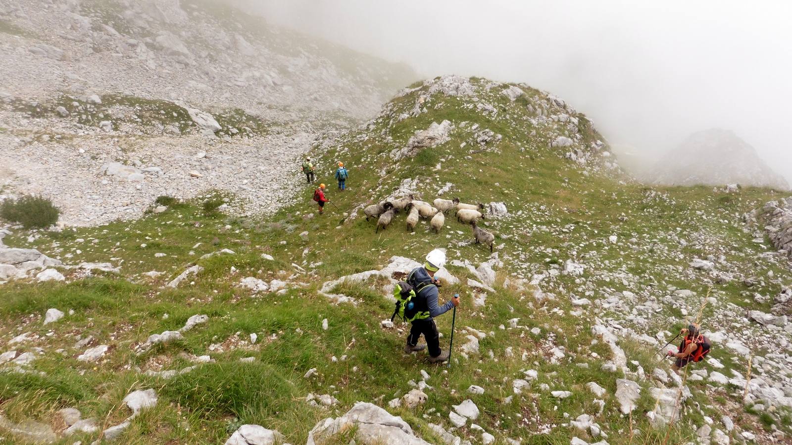 Fotos: Imágenes de La Tabla del Pino (2.154 m.)