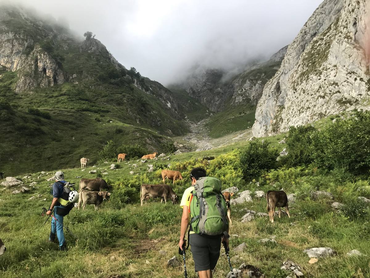 Fotos: Imágenes de La Tabla del Pino (2.154 m.)