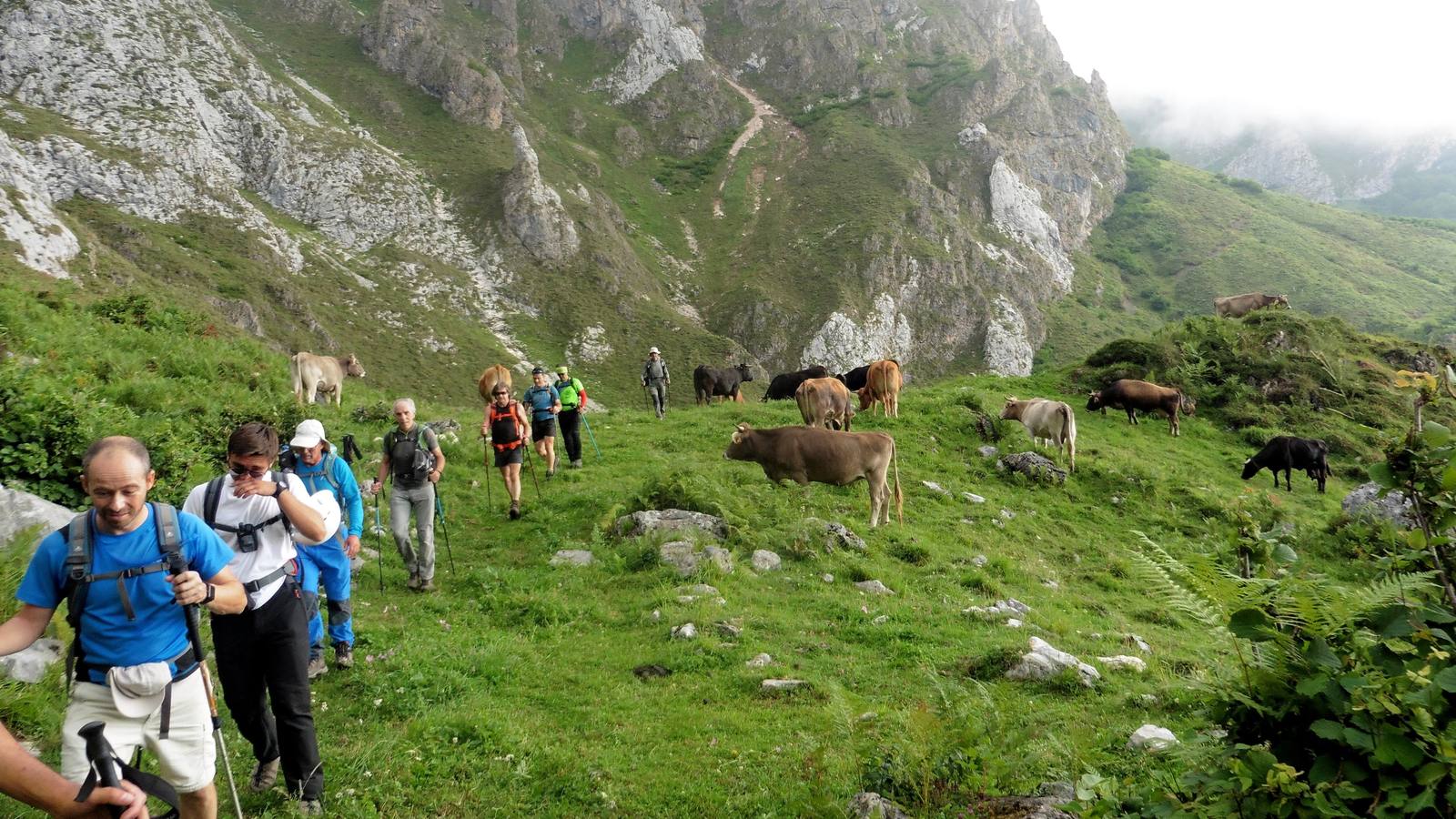 Fotos: Imágenes de La Tabla del Pino (2.154 m.)