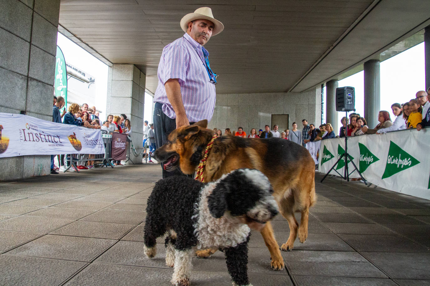 El centro comercial celebró la décima edición de este evento que premió a los perros más bonitos, simpáticos y educados