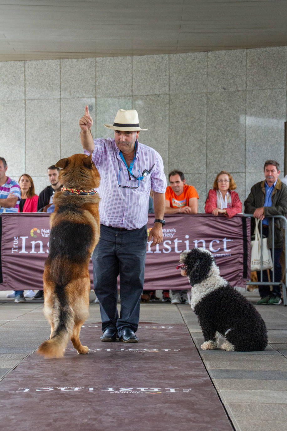 El centro comercial celebró la décima edición de este evento que premió a los perros más bonitos, simpáticos y educados