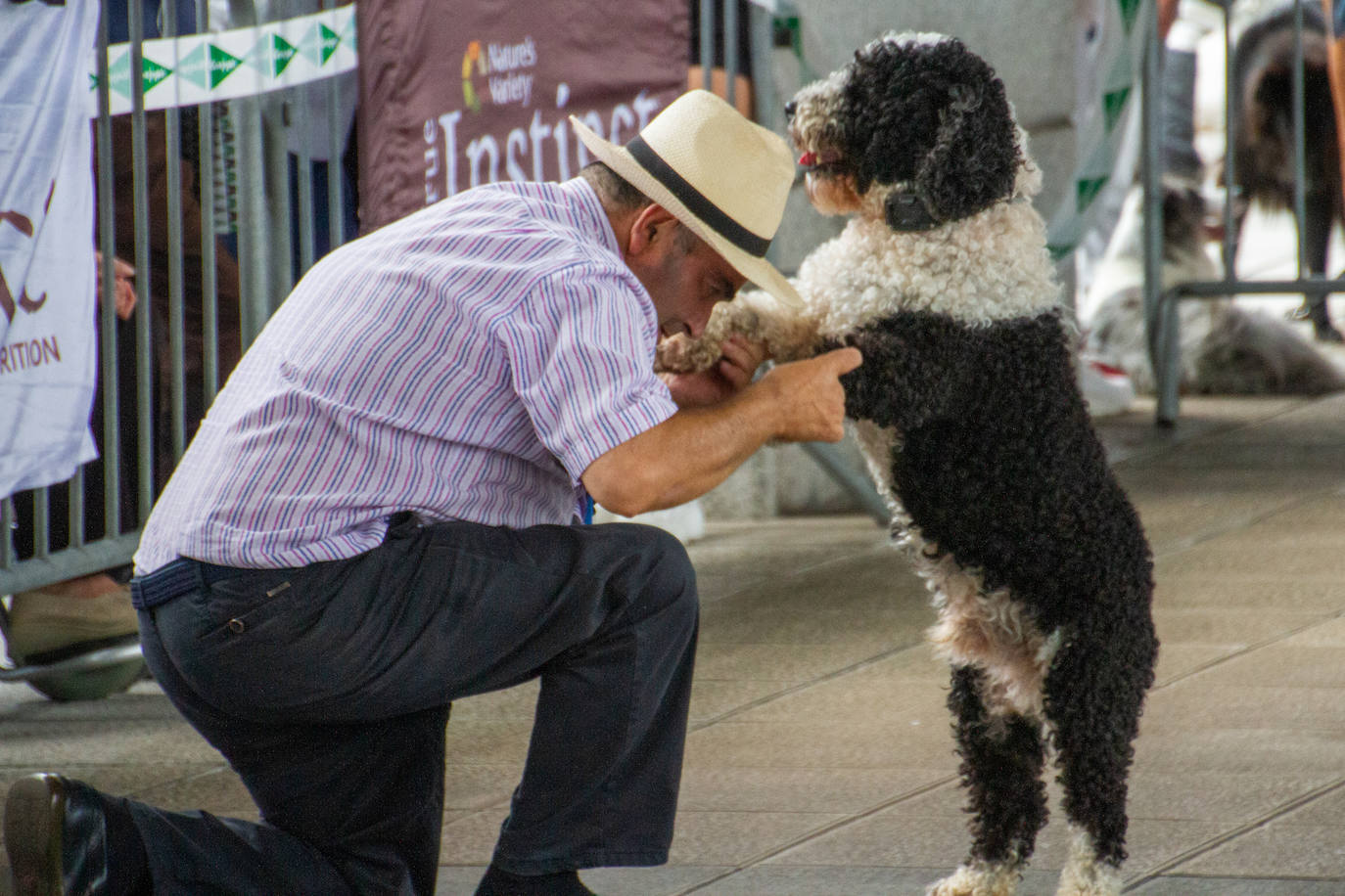 El centro comercial celebró la décima edición de este evento que premió a los perros más bonitos, simpáticos y educados