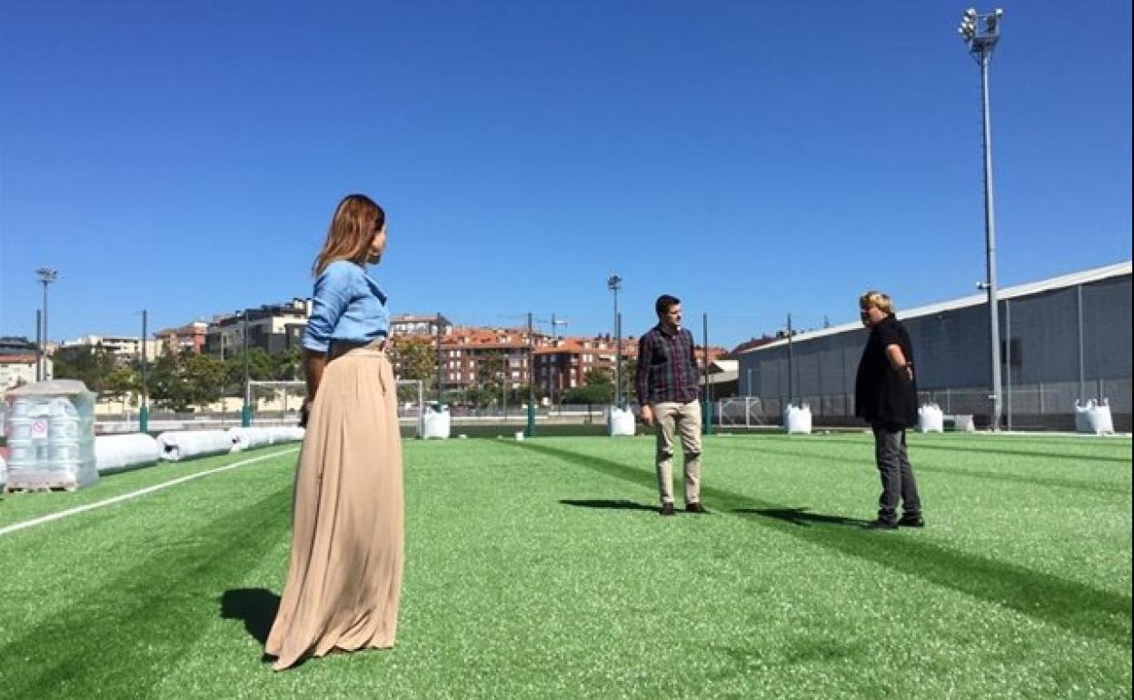 Hierba artificial del campo de Frajanas.