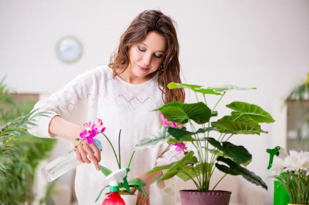 Hay que regar con mimo nuestras plantas.