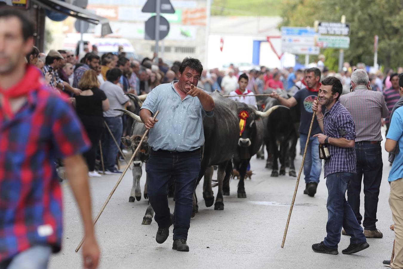Fotos: Olimpiada del Tudanco en Cabezón de la Sal