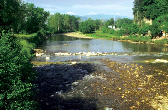 Río Saja, a su paso por el municipio de Mazcuerras.