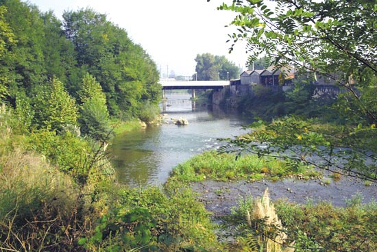 Imagen secundaria 2 - El parque de la Viesca, en la ribera del río Besaya, es la principal zona verde del municipio torrelaveguense. Vista del puente de Ganzo. Río Besaya.