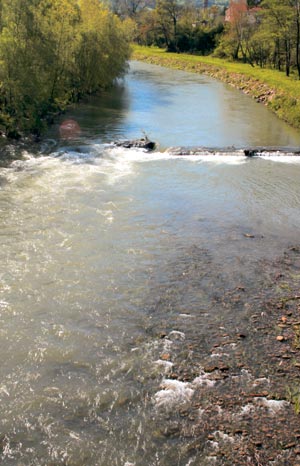 Río Besaya a su paso por Cartes.