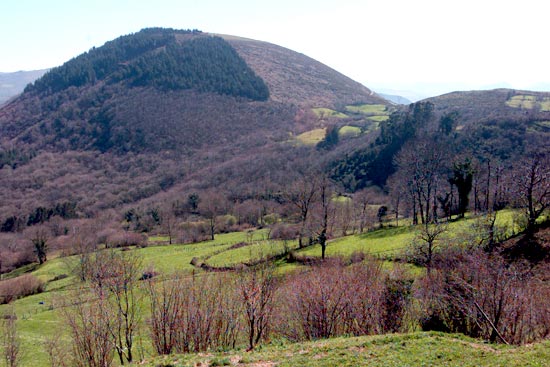 Paisaje del valle de Buelna, en el que predominan las verdes praderas.