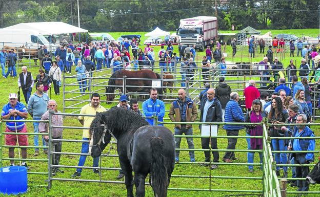 Más de un millar de cabezas de ganado se instalaron ayer en la pradera del Convento.
