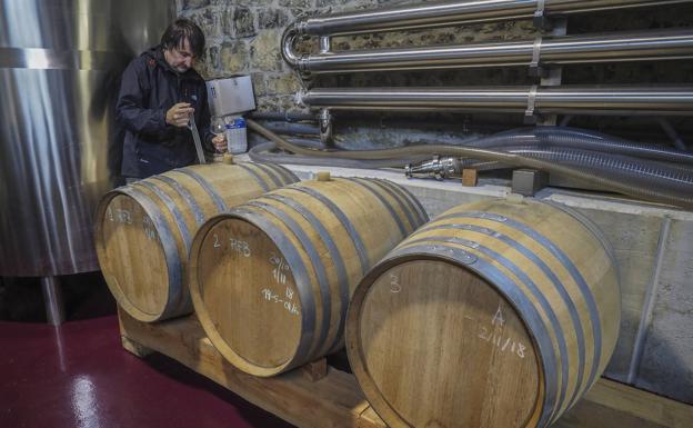 Barriles de roble francés en el interior de la bodega.