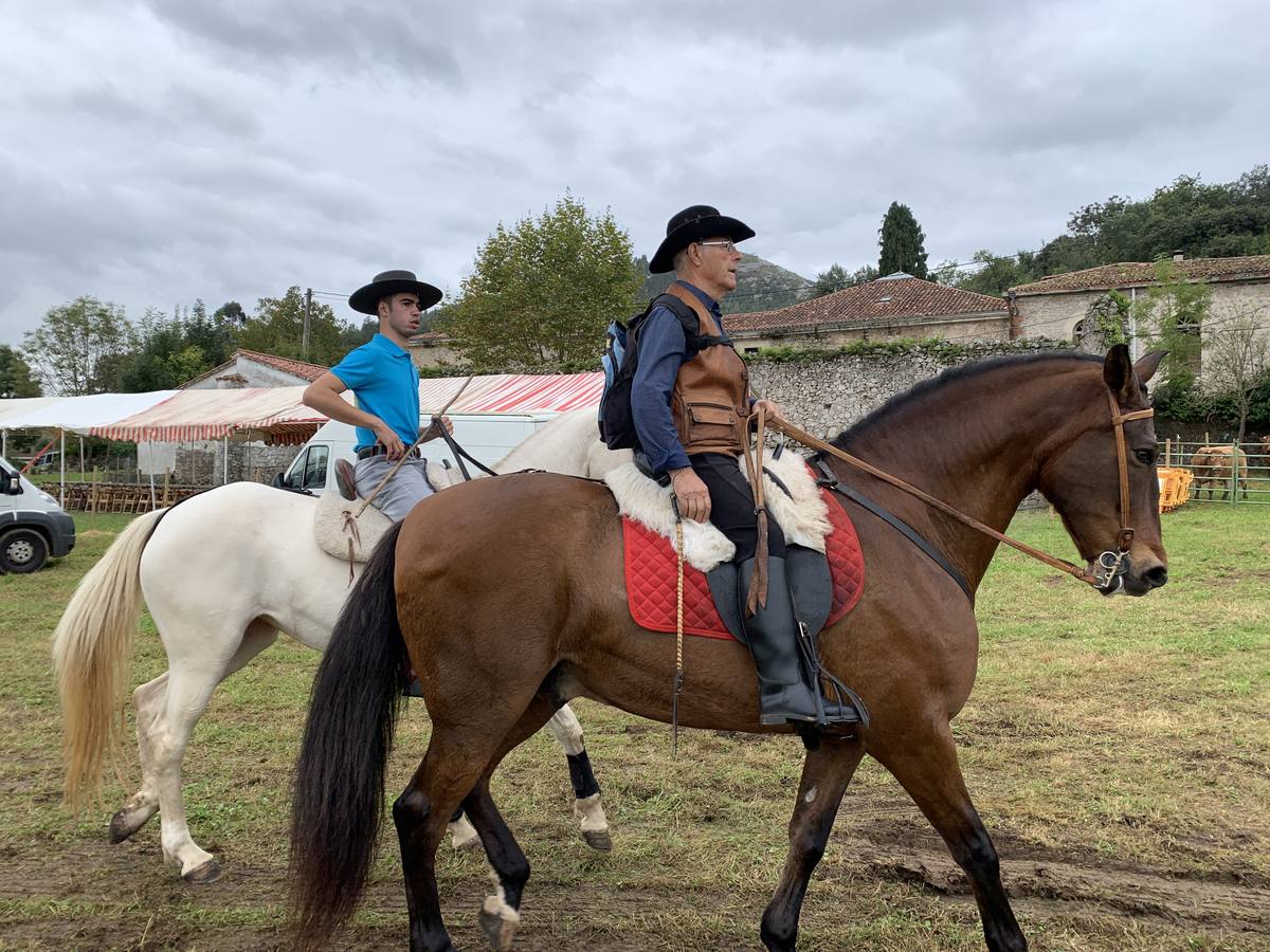 Fotos: Feria de San Lucas en Hoznayo