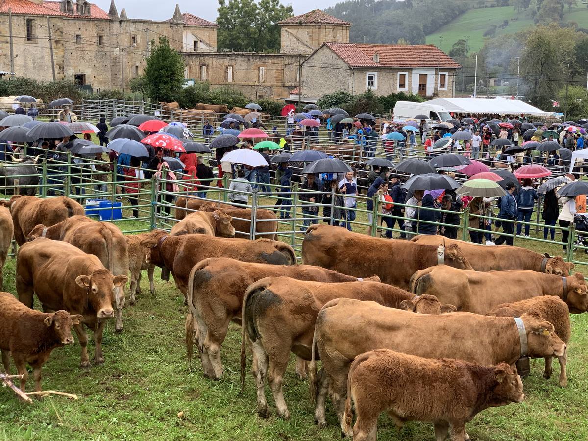 Fotos: Feria de San Lucas en Hoznayo