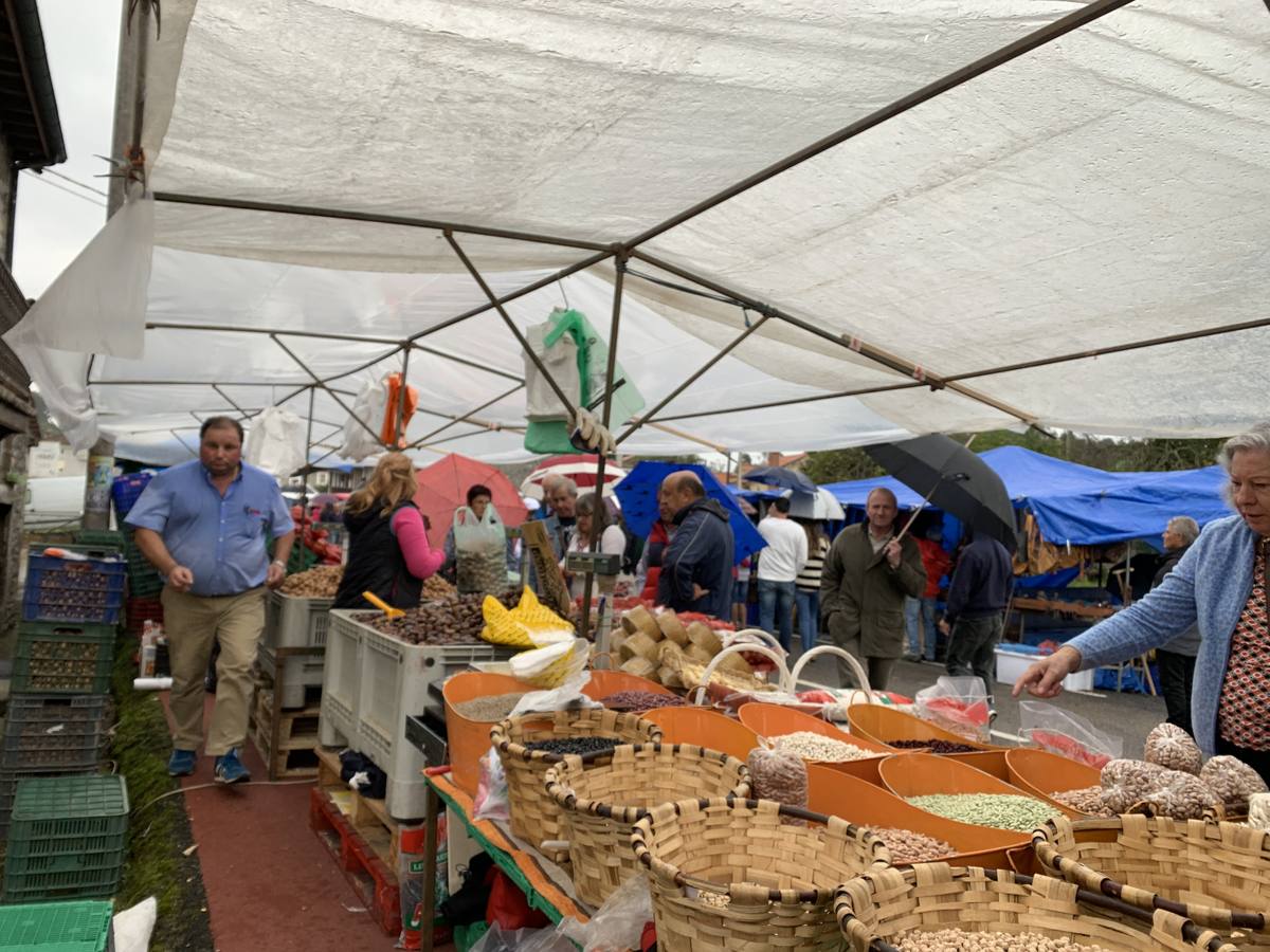 Fotos: Feria de San Lucas en Hoznayo