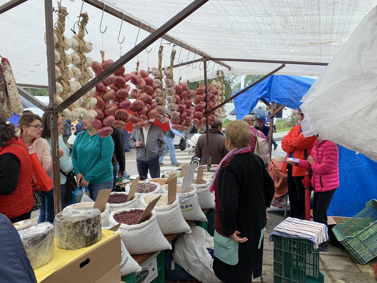 Fotos: Feria de San Lucas en Hoznayo