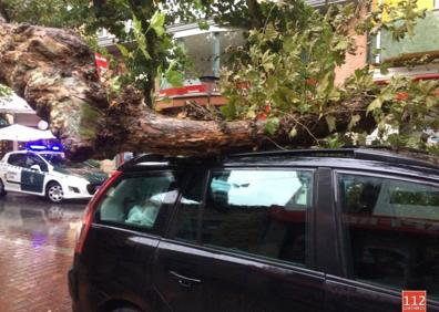 Imagen secundaria 1 - Una rama de gran tamaño cae sobre un coche en Cabezón de la sal y hiere a una mujer