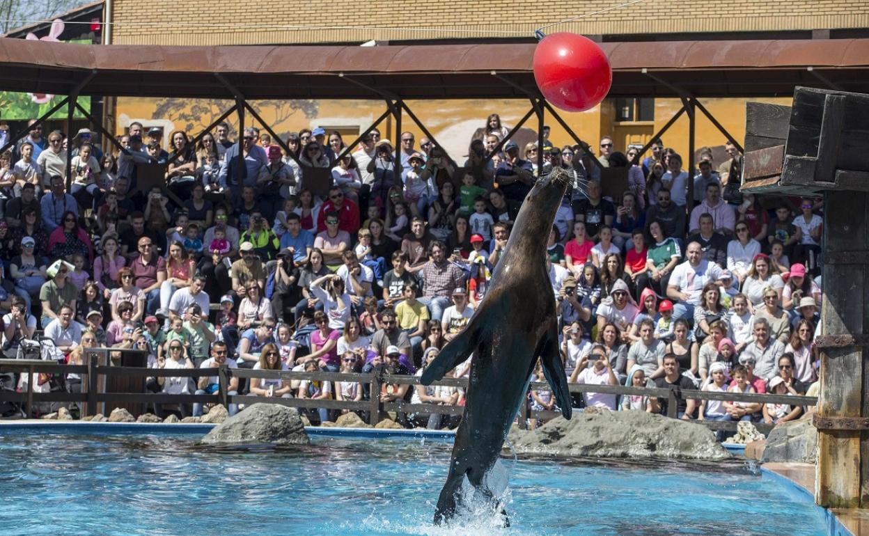 El Parque de la Naturaleza de Cabárceno gana el premio Horeca 2019