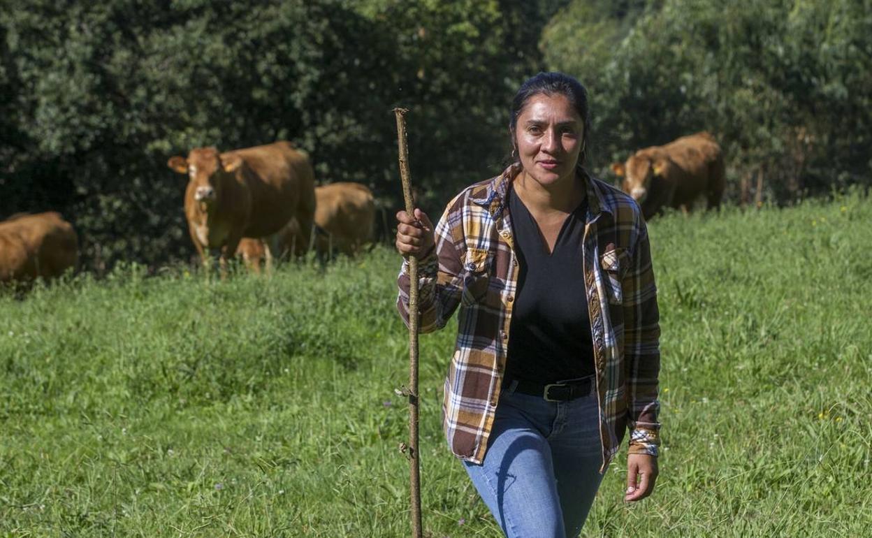 La CROTU da luz verde a 18 instalaciones ganaderas de jóvenes empresarios