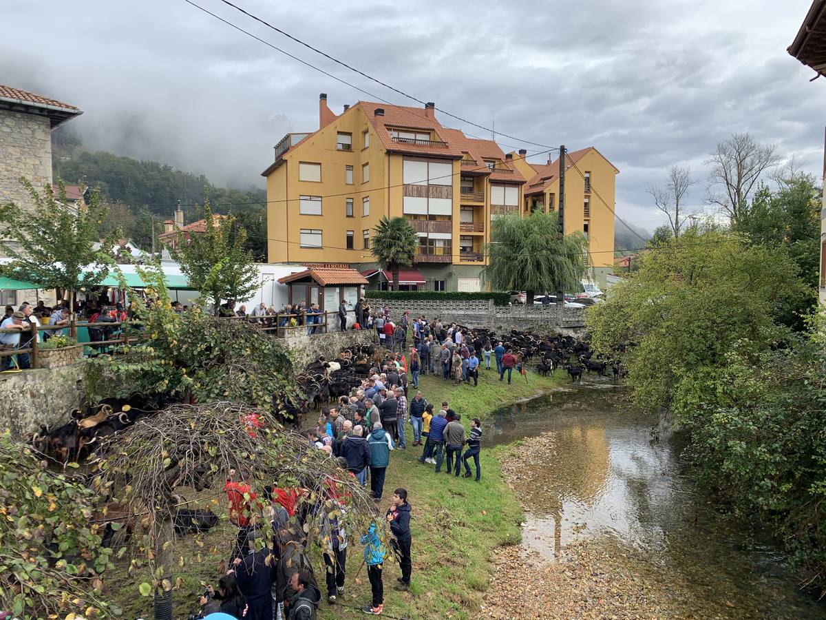 Fotos: Tradición arraigada en Arredondo