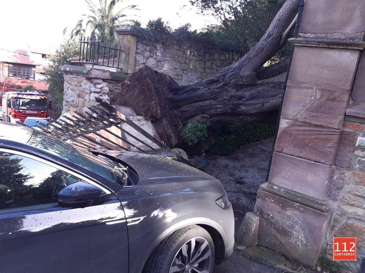 Un árbol de grandes dimensiones cayó sobre un muro y dos coches en Comillas.