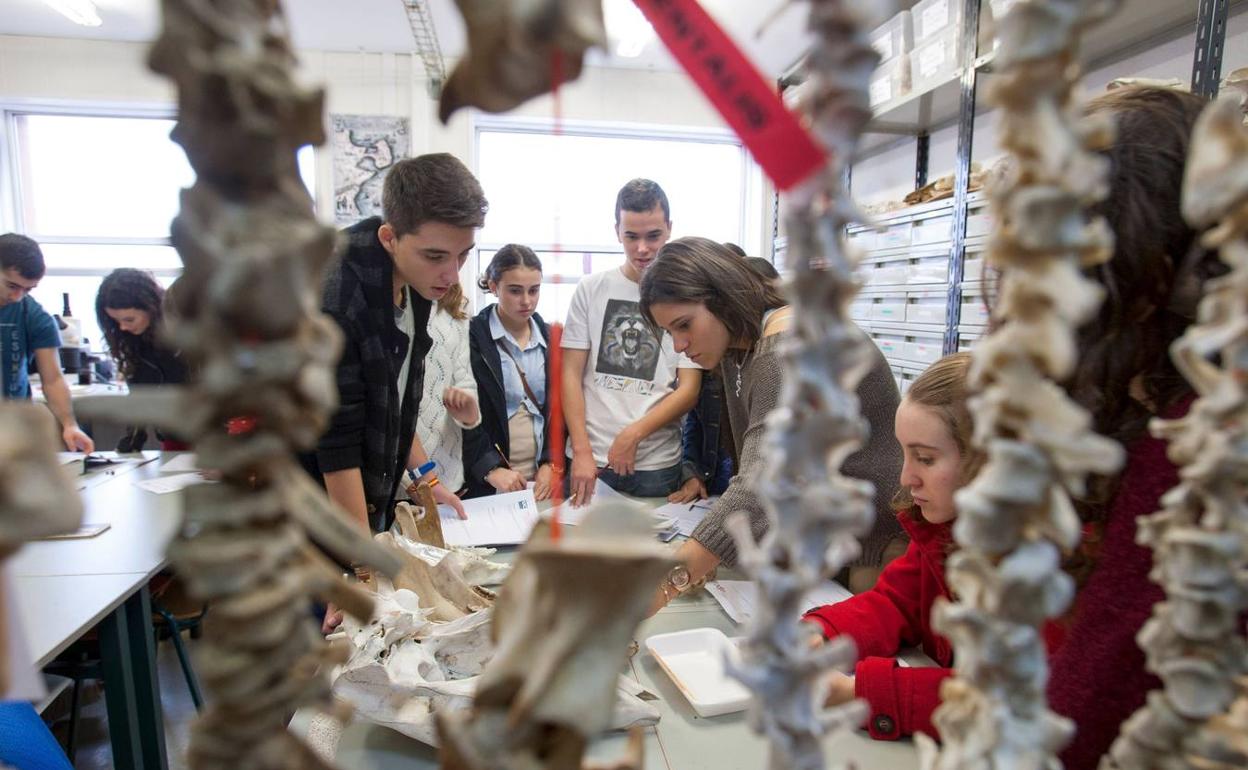 La Universidad de Cantabria se suma la Semana de la Ciencia con actividades hasta el día 17