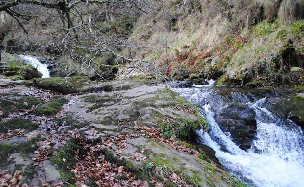 Hermosa ruta por el concejo de Piloña que regala múltiples cascadas y saltos de agua. 