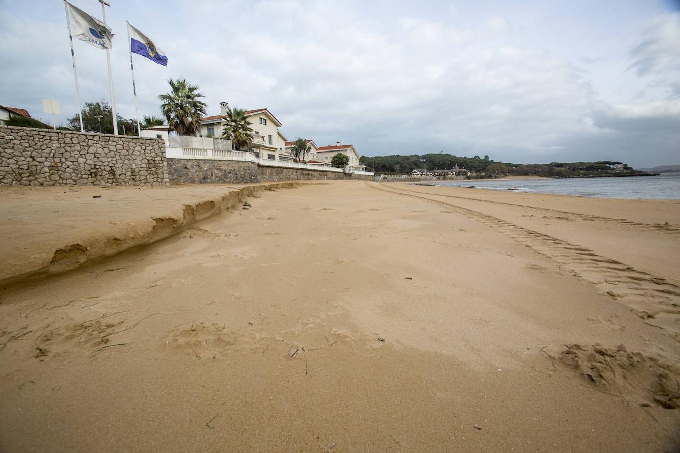 Los residuos vegetales cubren la playa de Valdearenas, en Liencres