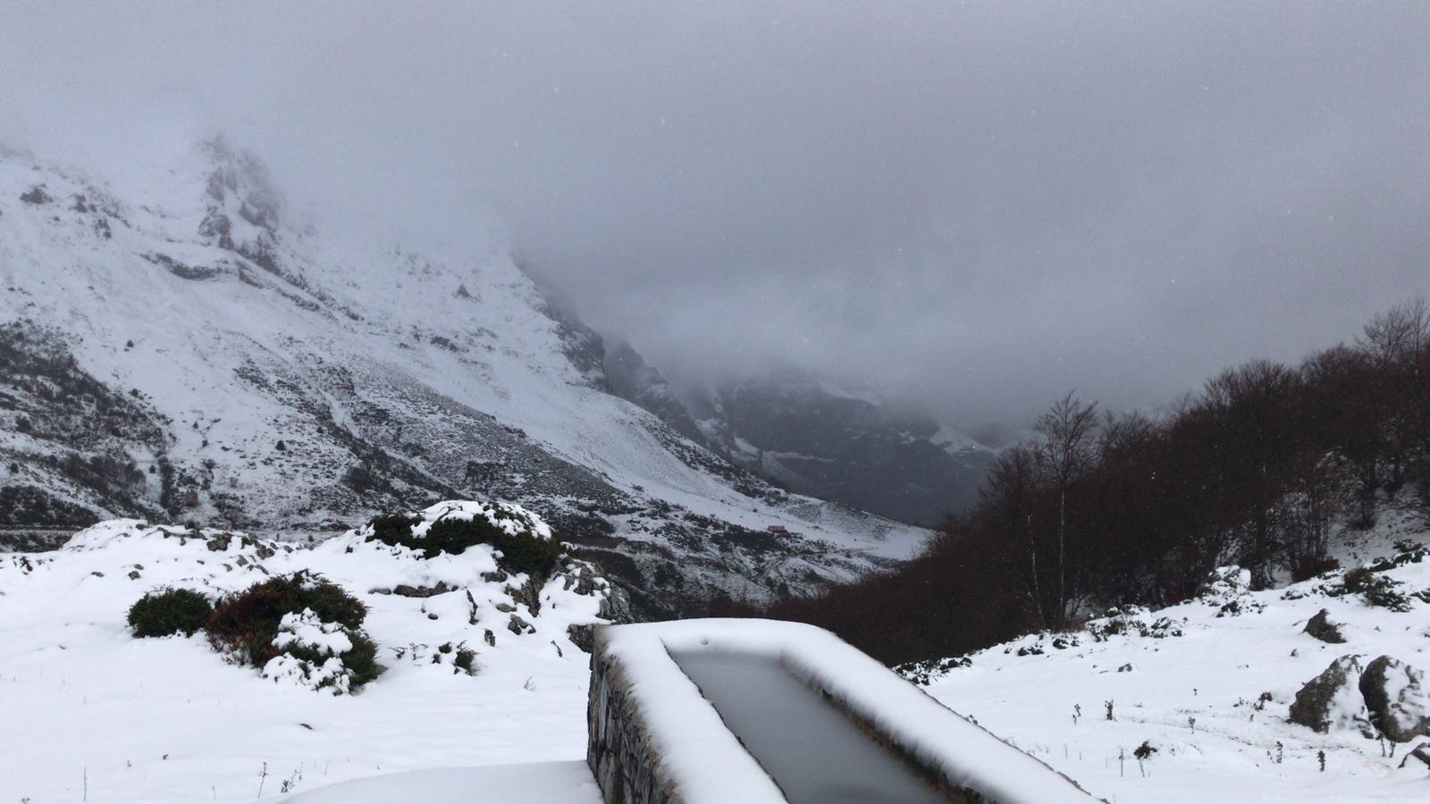 El frío y la nieve han dejado preciosas estampas en el parque nacional, un espacio de extraordinaria belleza en el que se diluyen las fronteras de Asturias, Cantabria y Castilla y León y que supera las 67.000 hectáreas