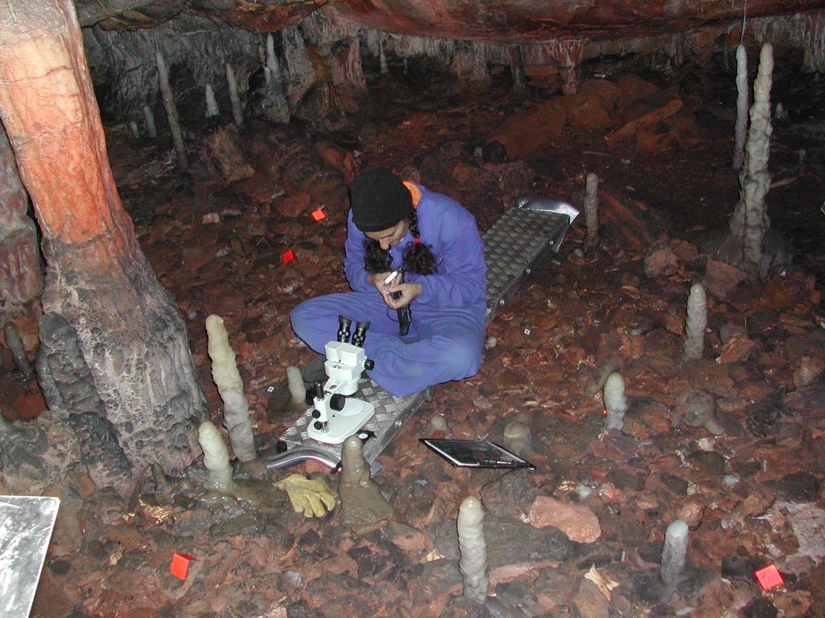 Investigadora de la Universidad de Cantabria en el año 2008