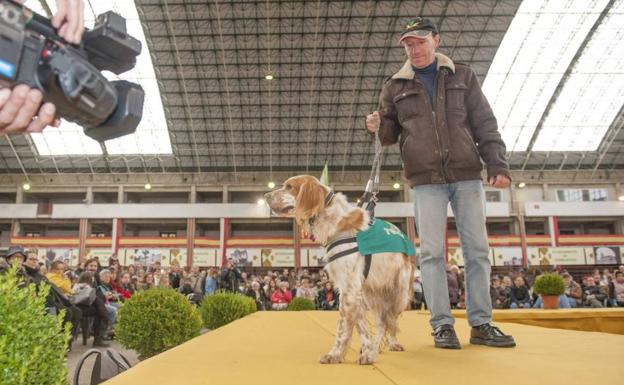 Imagen. Galería de la edición del año pasado de la feria de Adopción Responsable.