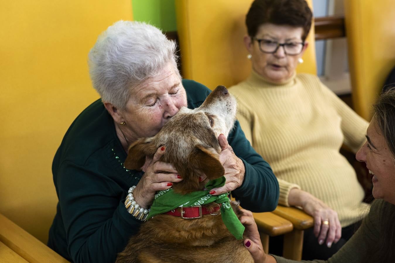 Una anciana abraza a Miko durante una de las visitas terapéuticas que forman parte de las actividades de la Residencia San Cipriano en Soto de la Marina. Soto de la Marina 23-11-2018