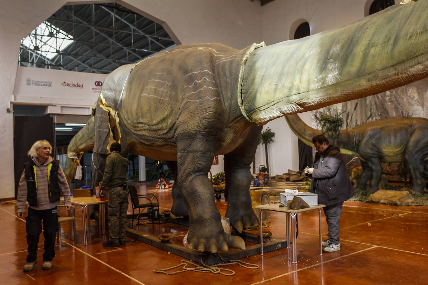 La exposición es un viaje al pasado que permitirá descubrir increíbles esqueletos, aterradores depredadores carnívoros y grandes herbívoros pacíficos