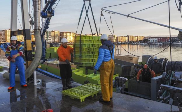 En la lonja de Santander entraron ayer 40 cajas de jargos, además de otras especies. 