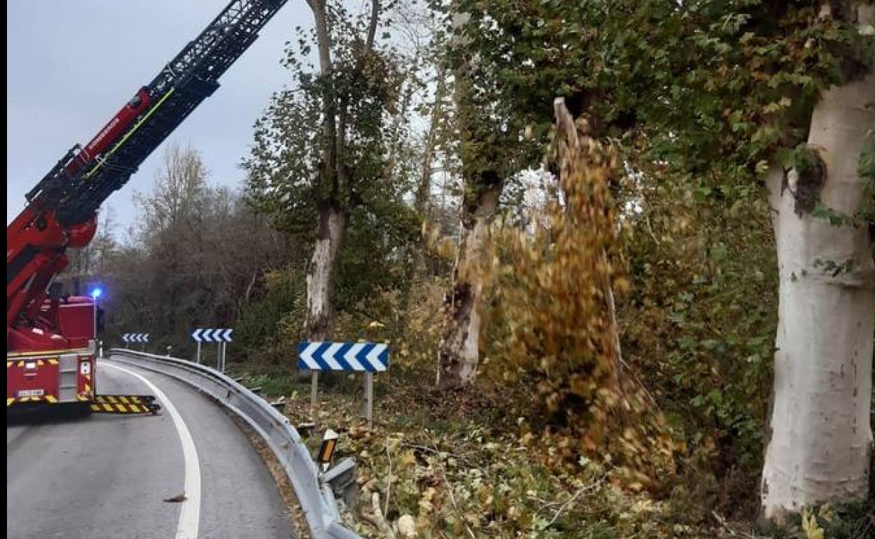 Los bomberos retiran ramas en la N-634.