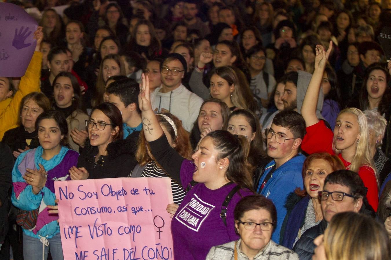 Centenares de personas se han echado a la calle en una manfiestación que ha recorrido el centro de la capital de Cantabria