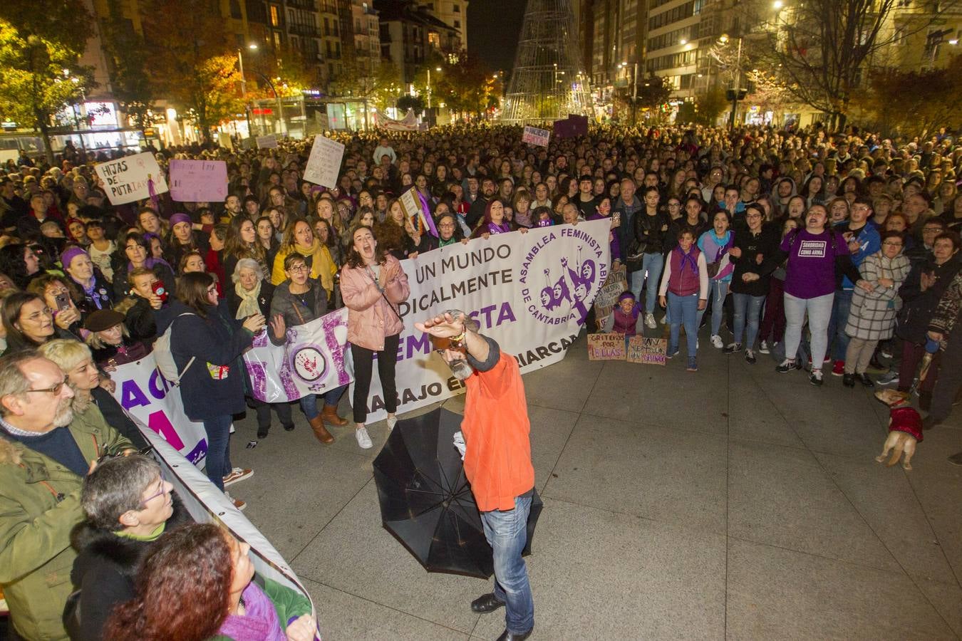 Centenares de personas se han echado a la calle en una manfiestación que ha recorrido el centro de la capital de Cantabria