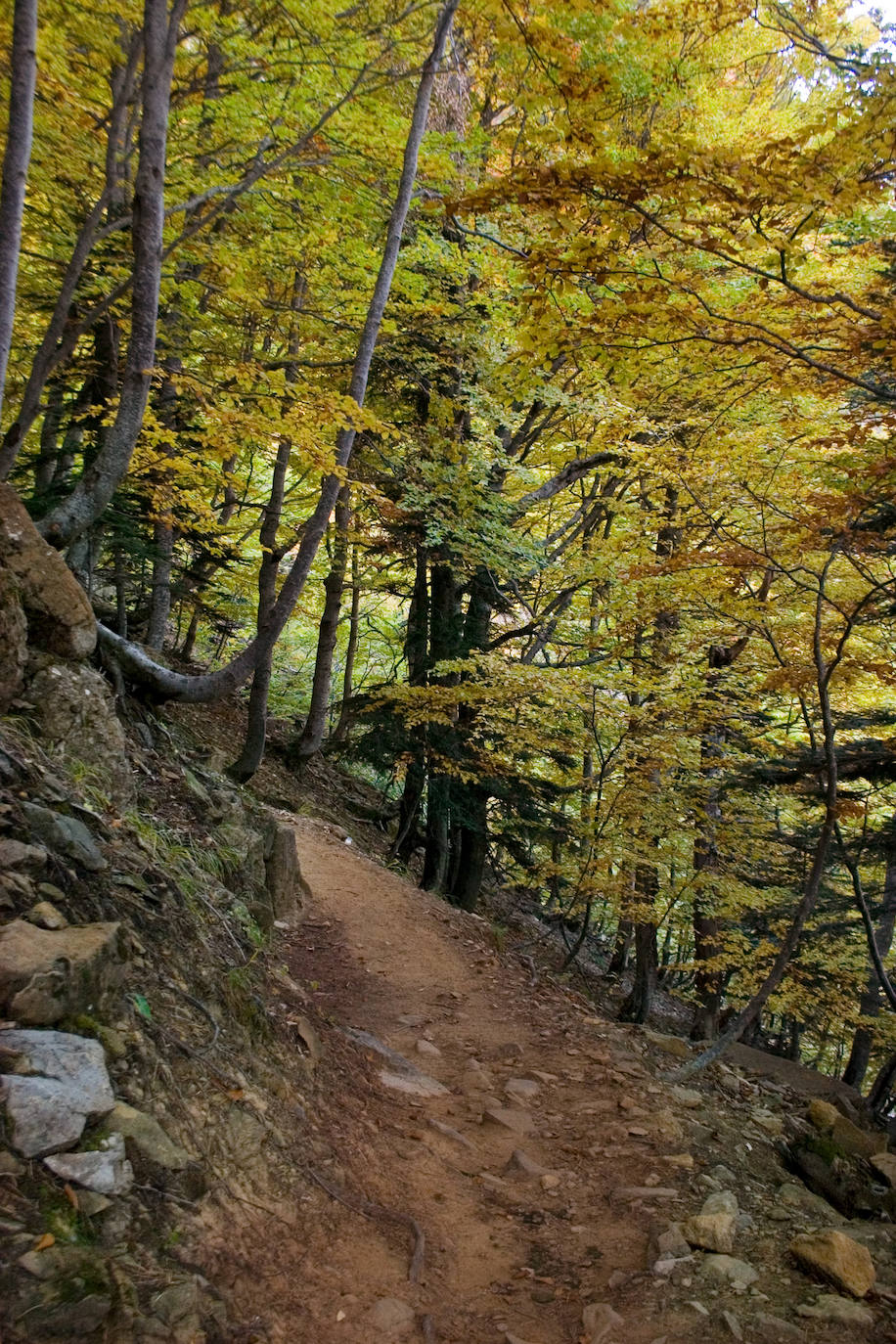 El camino es de una gran belleza.