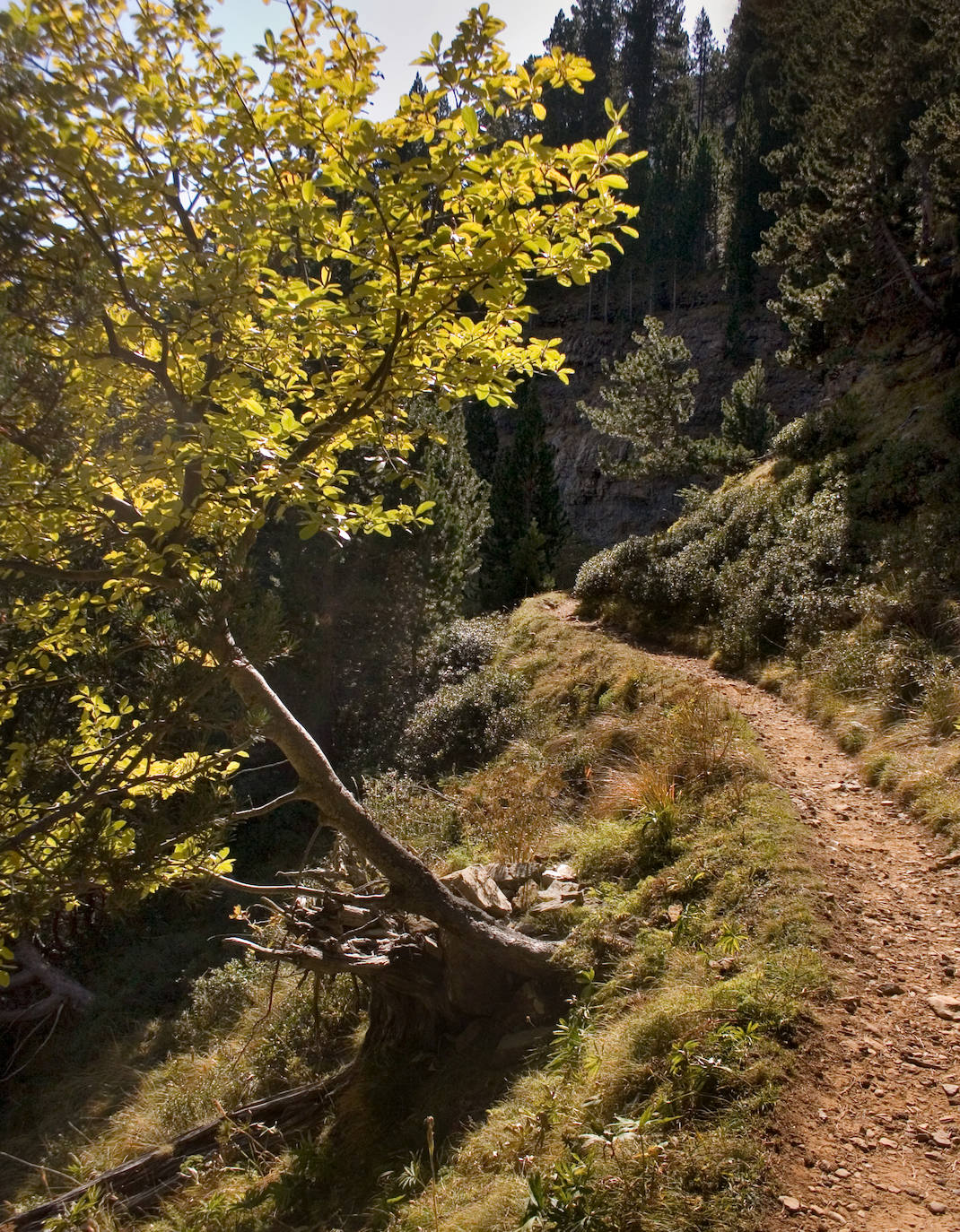 La pendiente se suaviza después de superar el primer tramo