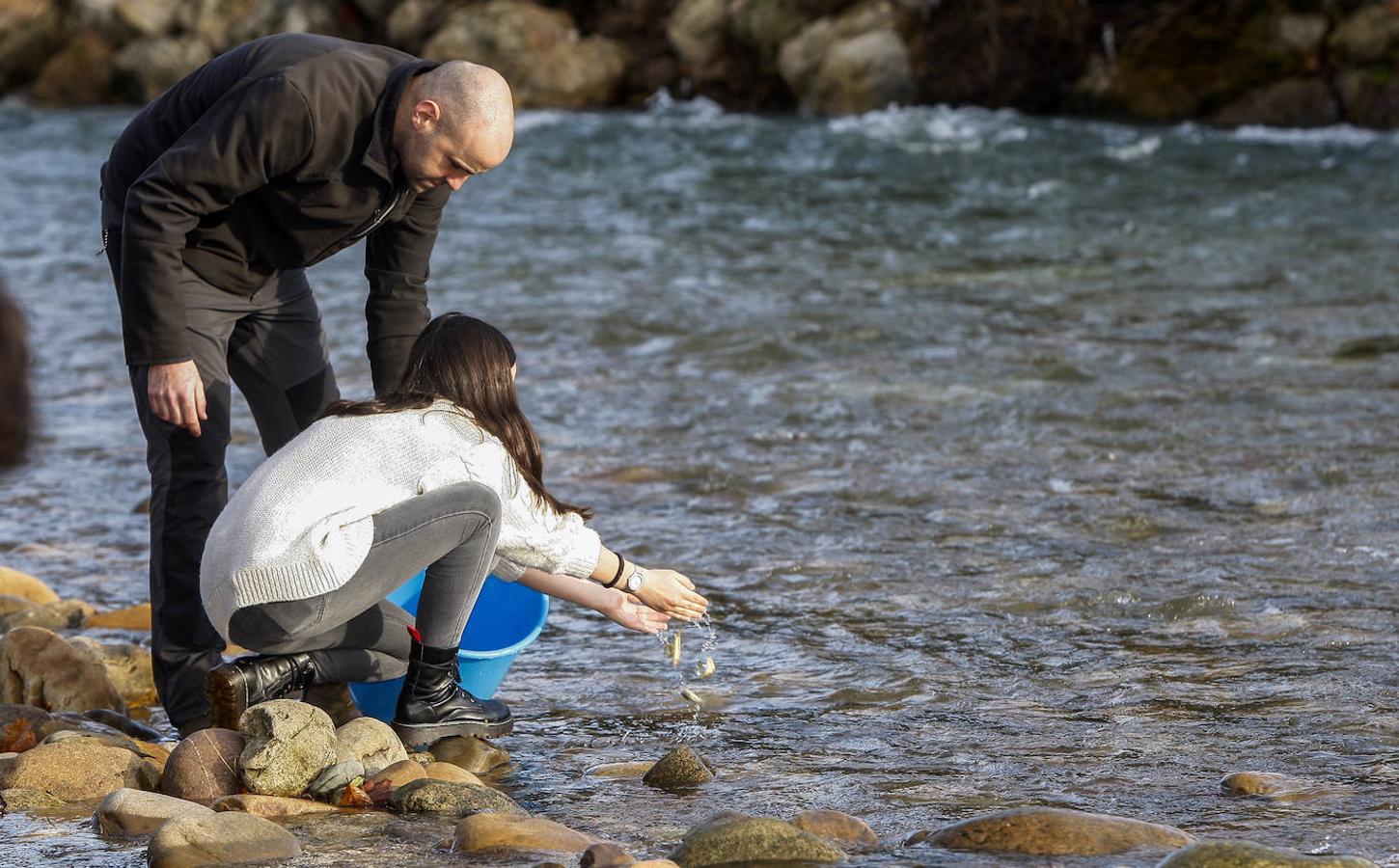 Alumnos del colegio San Agustín de Santander han colaborado en la suelta de salmones en el río Besaya.