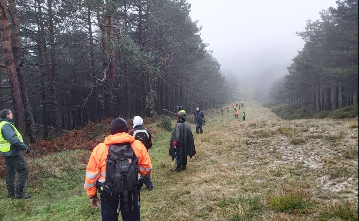 Decenas de personas han participado este viernes en la búsqueda en una zona de bosque de Valderredible.