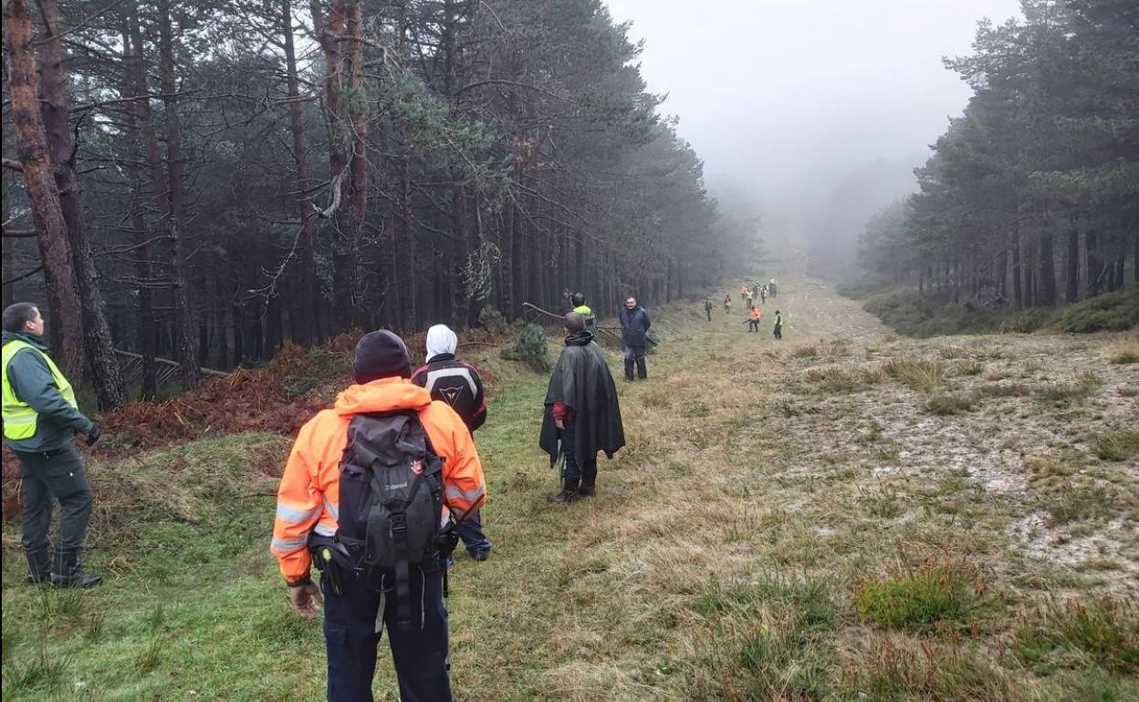 Imagen del dispositivo de búsqueda, hace tres días en los bosques de Valderredible.