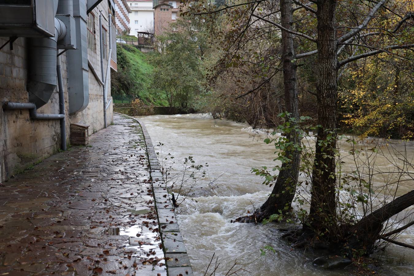 Zona en la que apareció el cuerpo