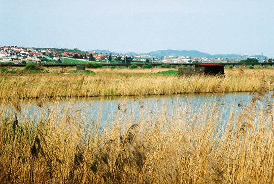 Vista de las marismas de Alday, en Maliaño.