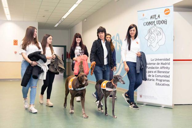 Universitarias con los dos de los perros de la experiencia.