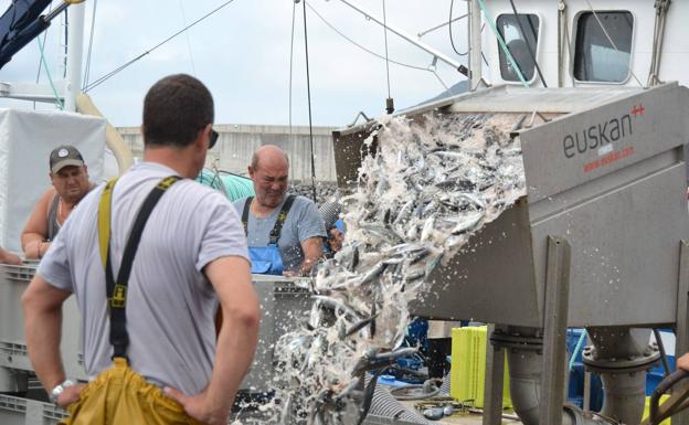 «Hay más que inquietud ante el posible recorte de un 40% en la cuota de jurel»