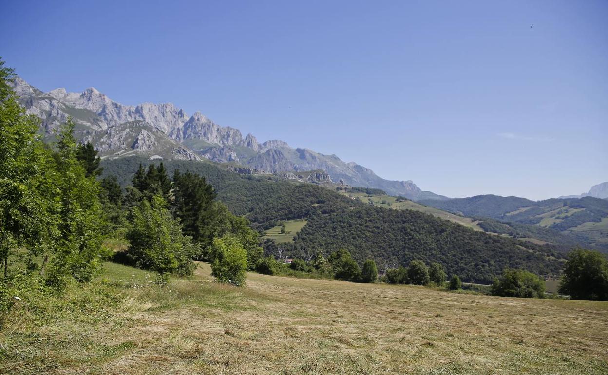 Terrenos en los que se quiere hacer el campo de golf