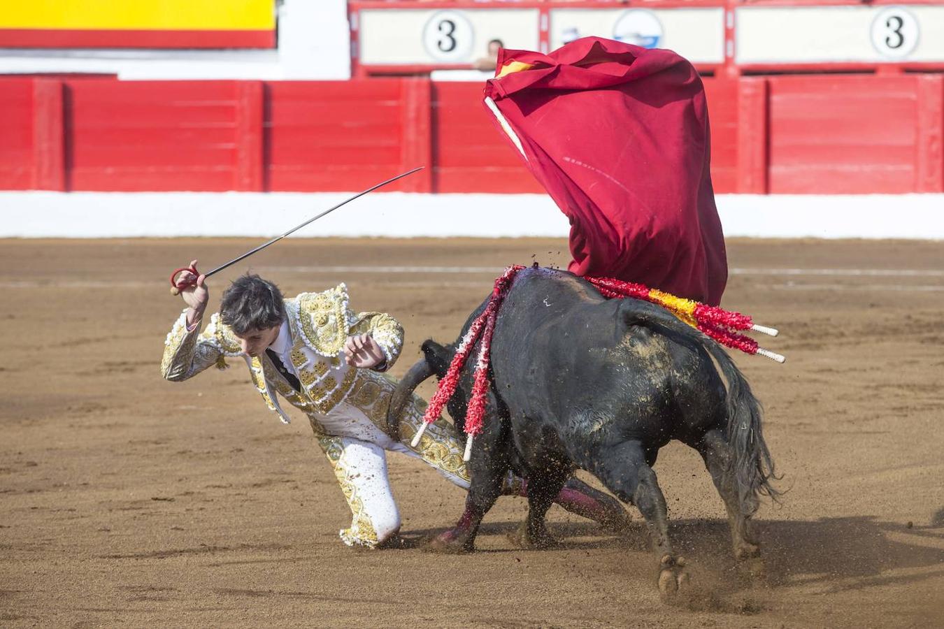 El novillero salmantino Antonio Grande a punto de ser prendido en el coso de Cuatro Caminos.