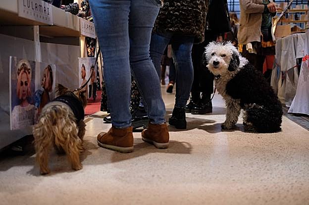 El mercado acepta la visita con mascotas.
