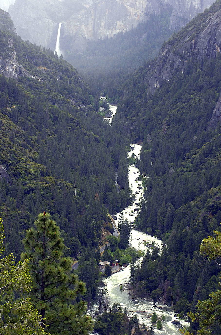 El río Merced con la cascada Bridal Veil al fondo.